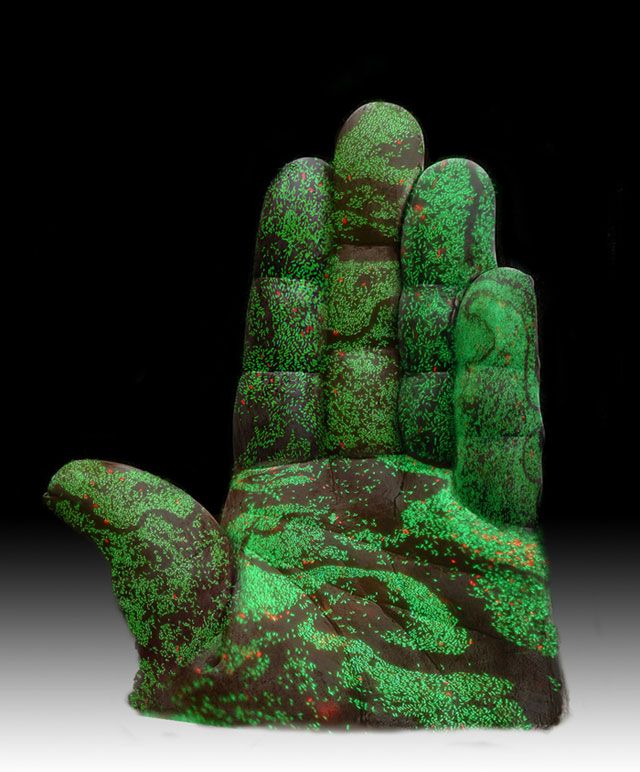 Hand &amp; Biofilms illustration