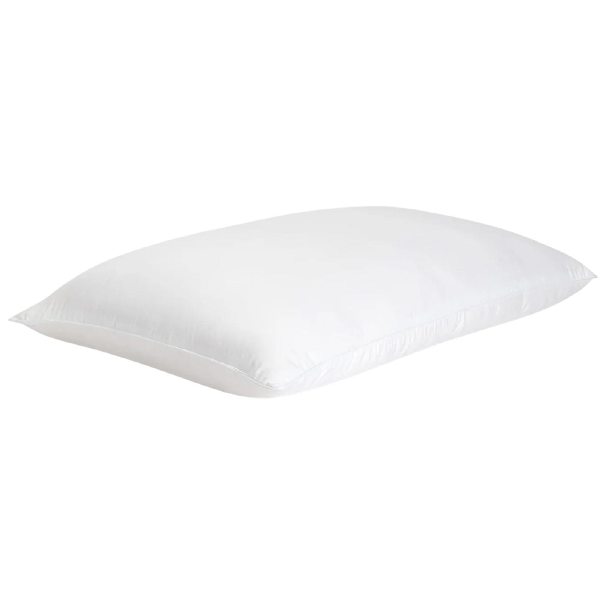 Cozy Earth silk pillow