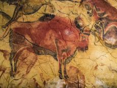 One of the paintings in the Cave of Altamira.