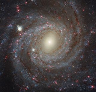 The spiral galaxy NGC 3344 is located about 20 million light-years from Earth. This image of the galaxy is a composite of images taken through seven filters, including ultraviolet, optical and near-infrared radiation.