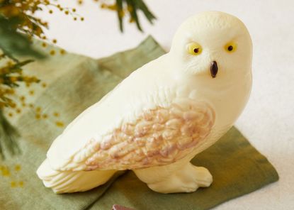 M&S white chocolate Hedwig
