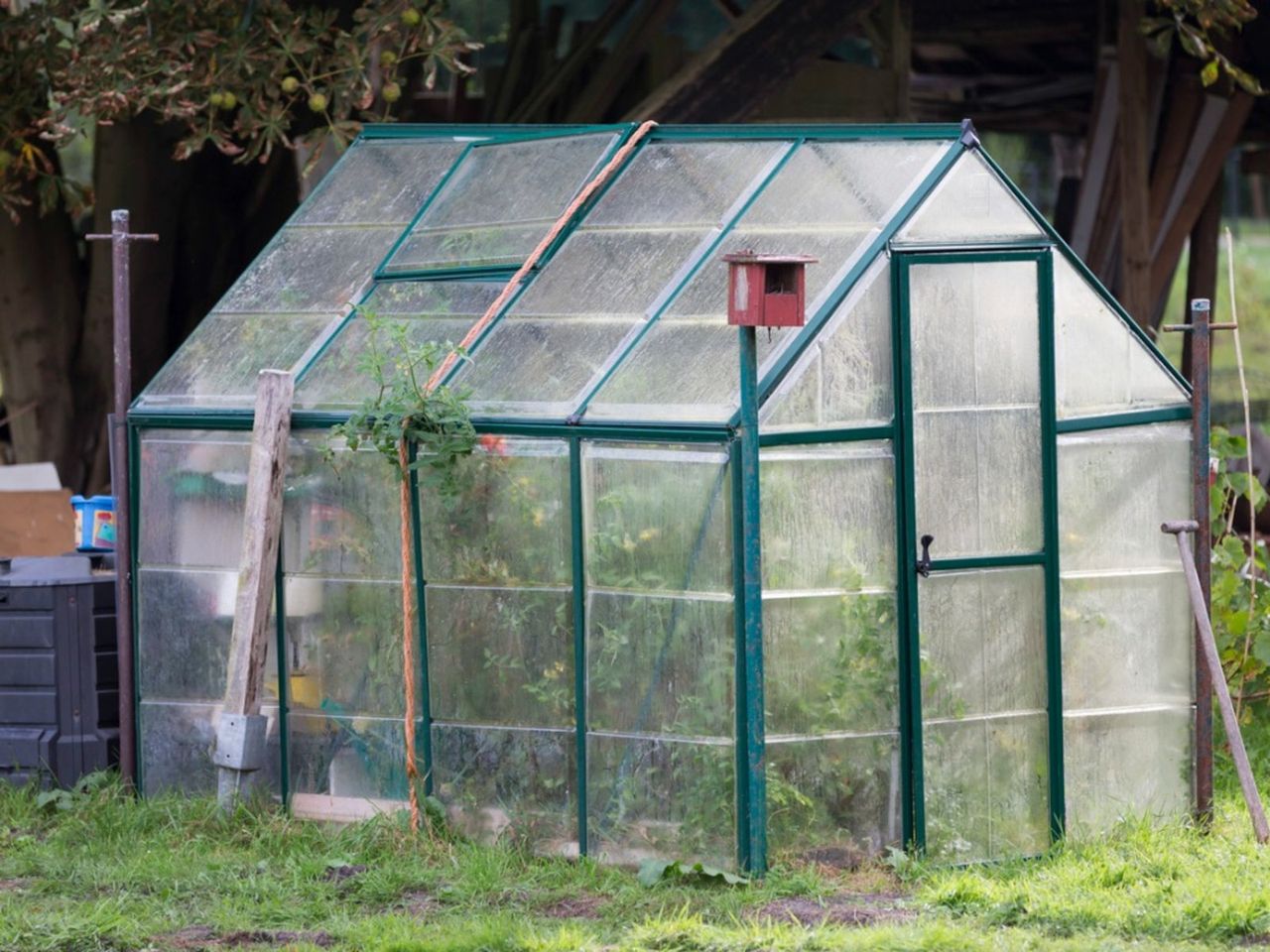 A Greenhouse Full Of Plants