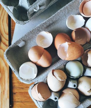 Egg shells in a kitchen