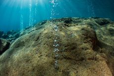 Bubbles under the water.