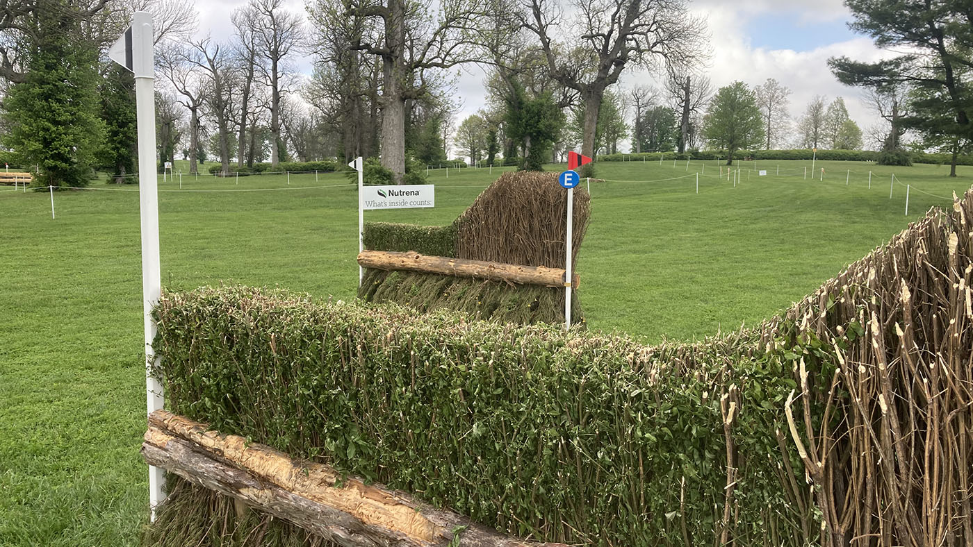 Fence23d-longivew