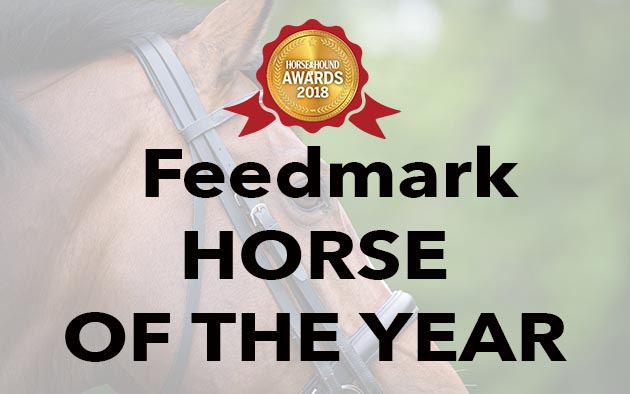 Feedmark-HORSE-OF-THE-YEAR-1.jpg