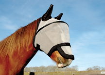 SpaceFlyMask.jpg