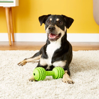 JW Pet Chompion Dog Toy |Was $11.99, now $4.64 at Chewy