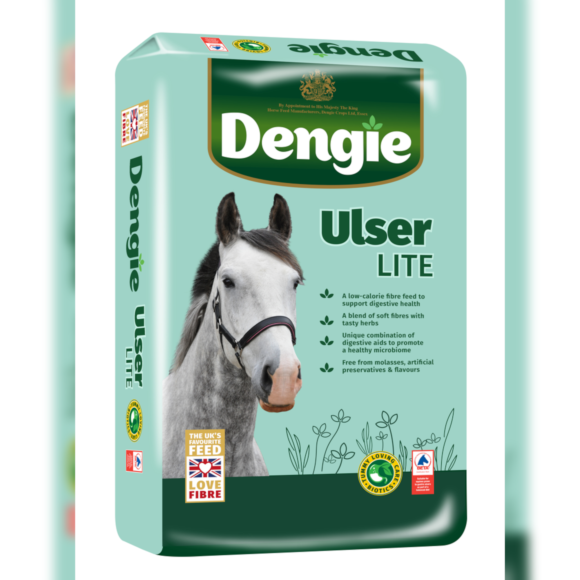 DENGIE_ULSER_LITE_LHS_2025_with_bgc