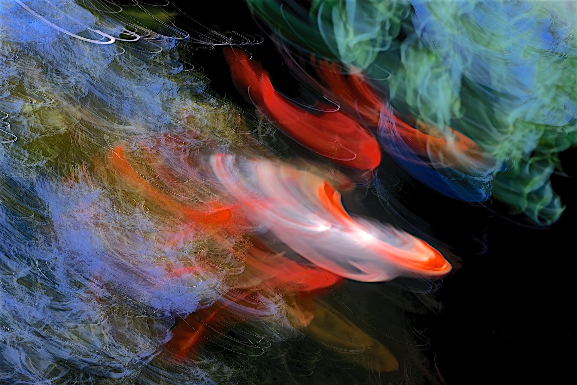 A dramatic long-exposure abstract featuring streaks of bright red and white koi fish swimming through dark water, surrounded by wispy, painterly trails of blue and green.