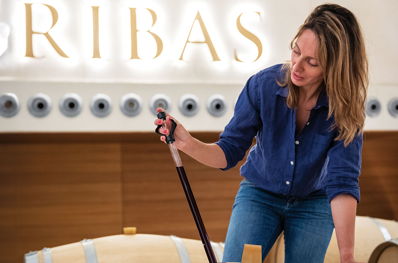 Araceli Servera Ribas, Bodegas Ribas