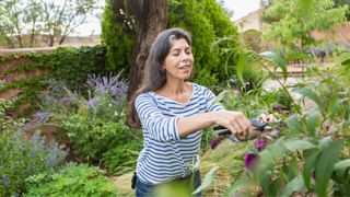 Woman clipping plants in garden