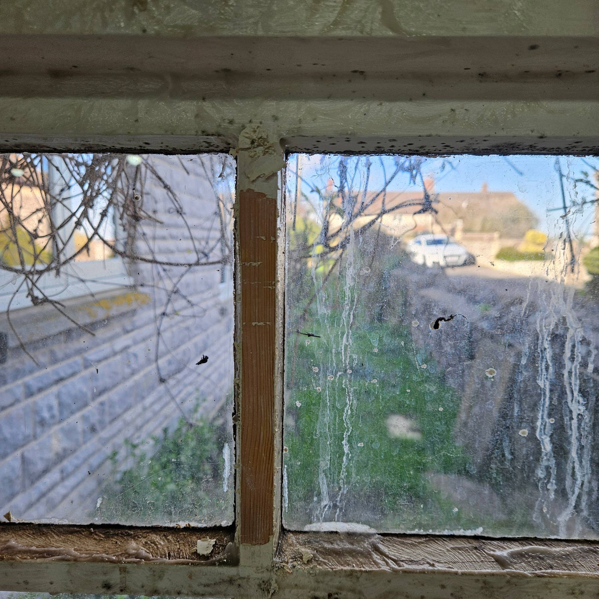 removing paint from window after paint stripper