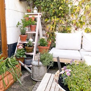 patio with pink ladder and pots of herbs and flowers