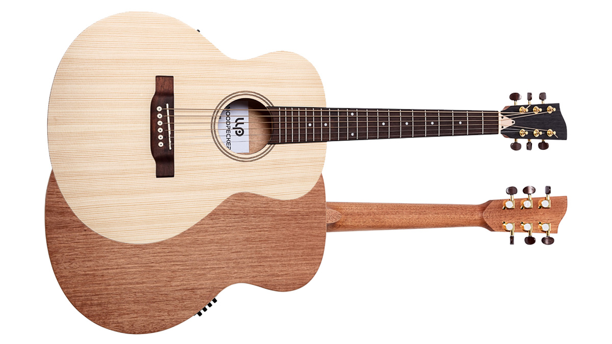 Woodpecker store travel guitar