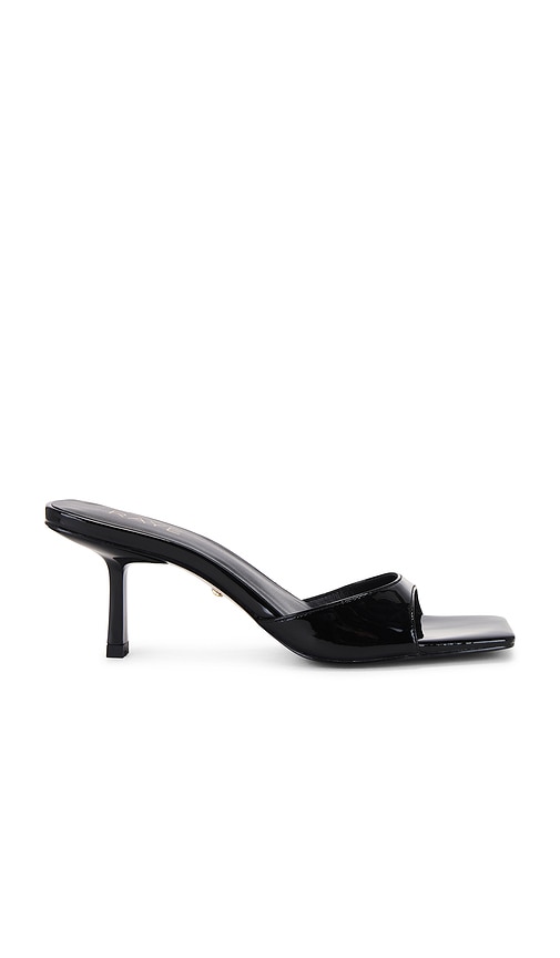 Jocey Mule
