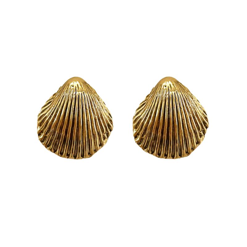 Image of shell earrings
