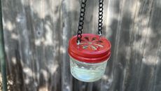 jar hummingbird feeder with red lid