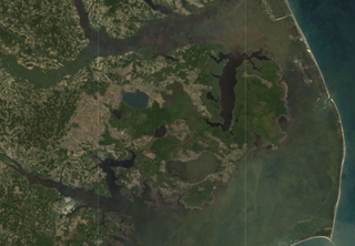 A 2016 Landsat8 image of the Albemarle Pamlico Peninsula in coastal North Carolina.