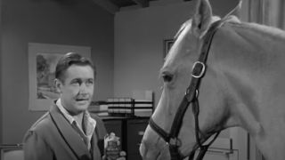 Wilber Pope and Ed have a conversation on Mister Ed