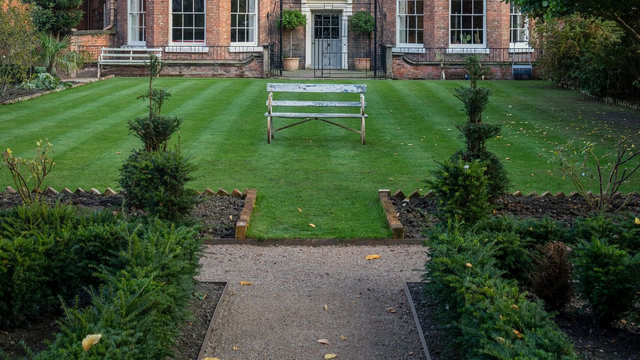 lawn with bench