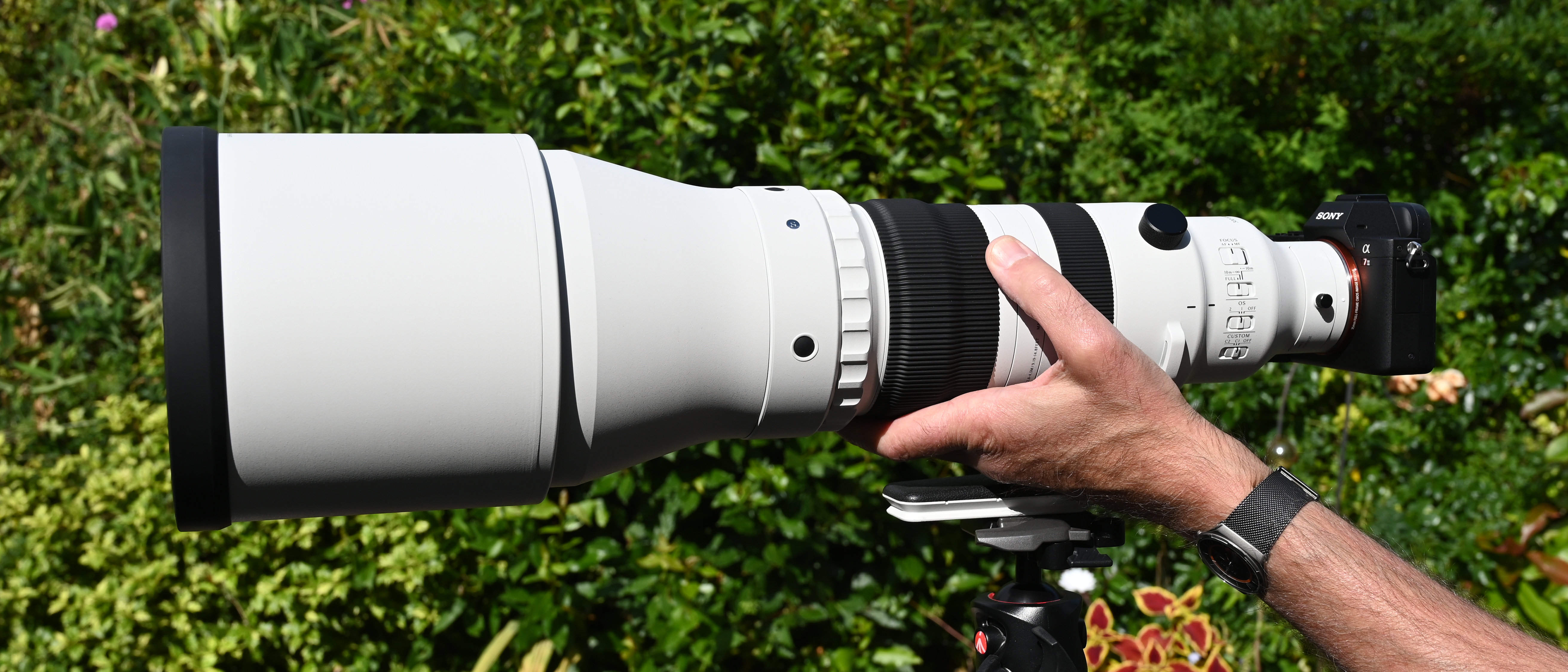 Sigma 300-600mm f/4 DG OS Sports
