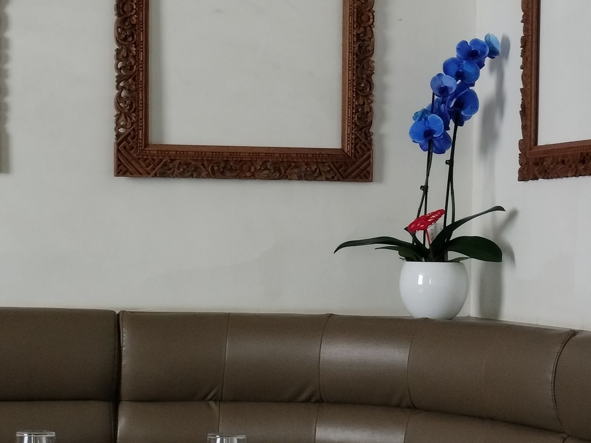 Oppo Reno8 Lite