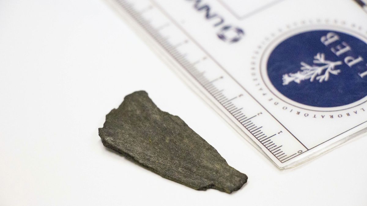 a small, fossilized fragment from the fire 75 million years ago.