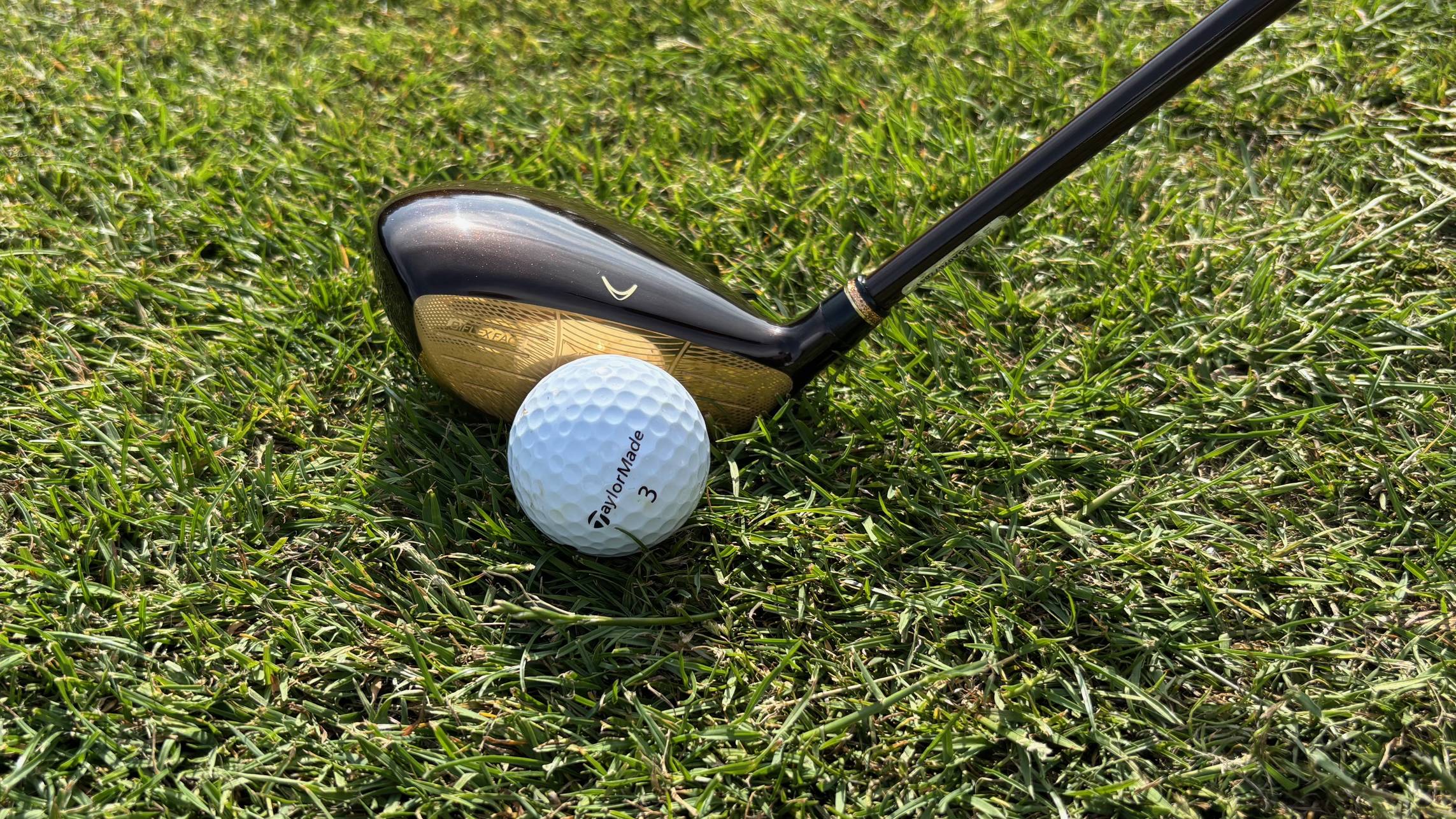 XXIO Prime Royal Edition Ladies Fairway Wood