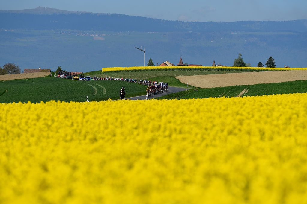 OULENSSOUSECHALLENS SWITZERLAND APRIL 28 The peloton passing through flowery landscape during the 75th Tour De Romandie 2022 Stage 2 a 1682km stage from challens to challens TDR2022 on April 28 2022 in OulenssousEchallens Switzerland Photo by Dario BelingheriGetty Images