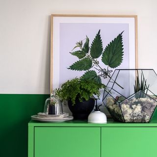 glass terrariums with green wall and botanical prints