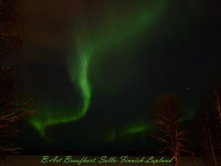 Aurora over Salla, Finnish-Lapland