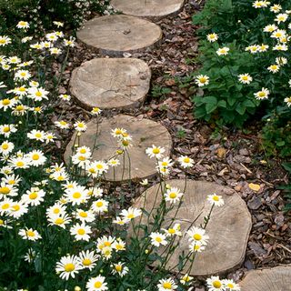 garden path with wood stepping stones and white flowers