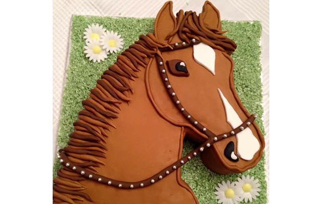 Tori Hughes&amp;rsquo; equestrian creation