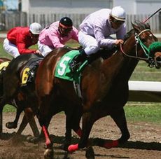 How to bet on a horse race