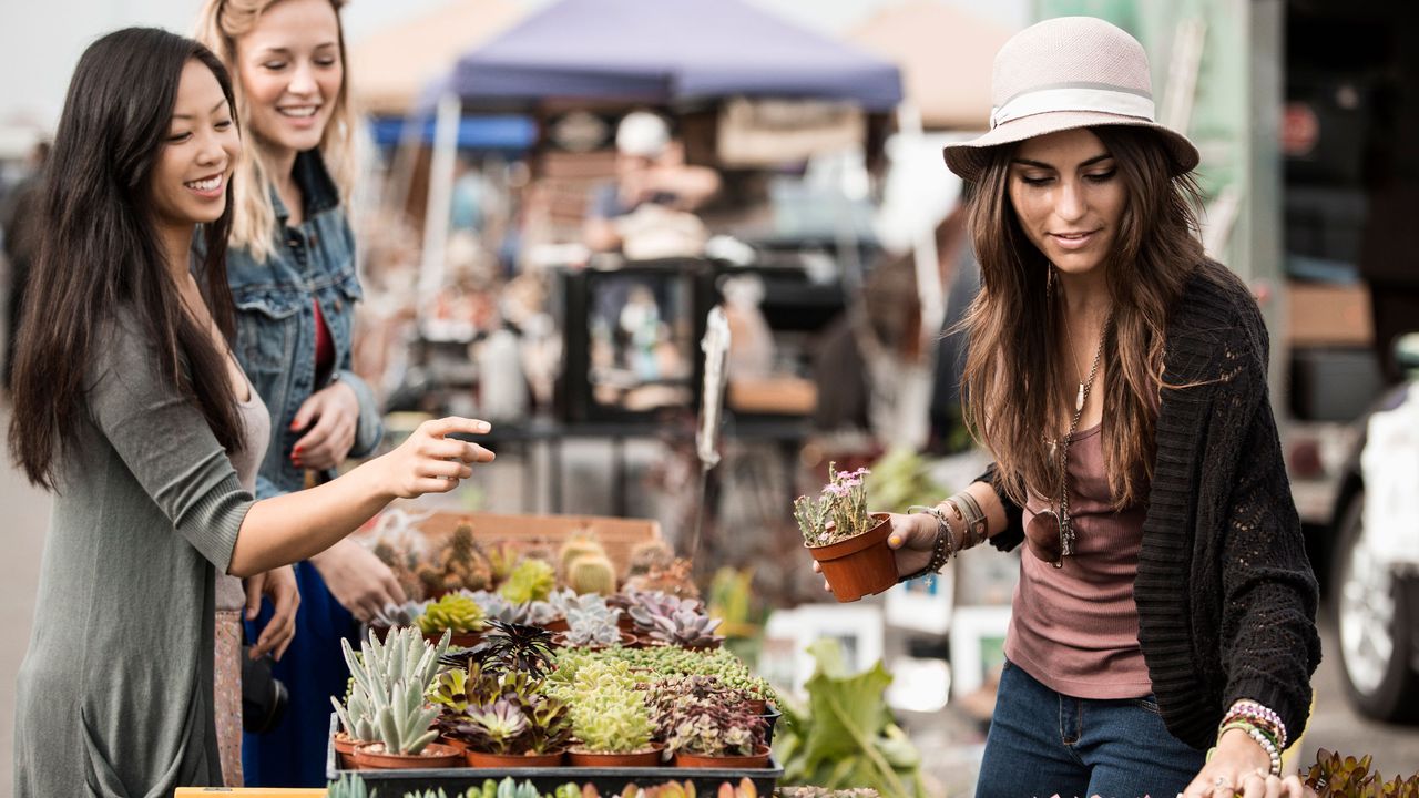 free plants - women at a plant sale