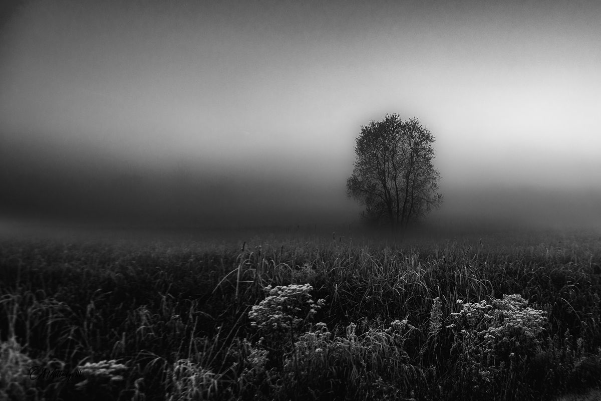 GuruShots - Powerful Black &amp; White Jan 26