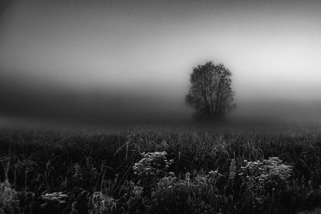 GuruShots - Powerful Black &amp; White Jan 26