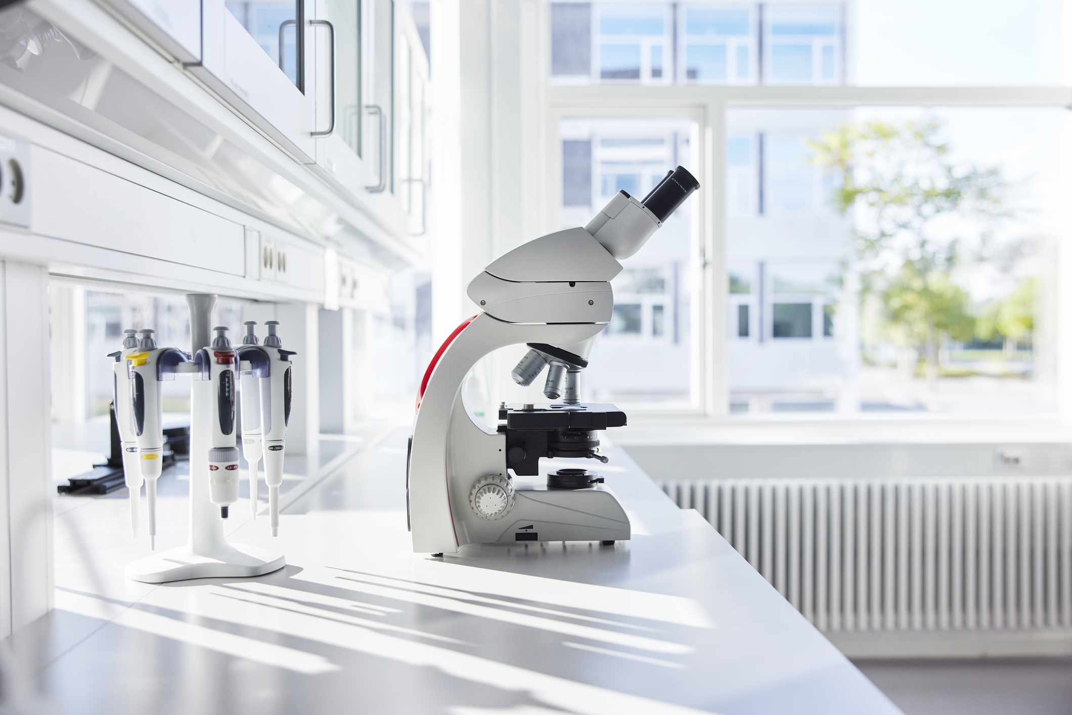 16. Taking the research and development (R&D) credit