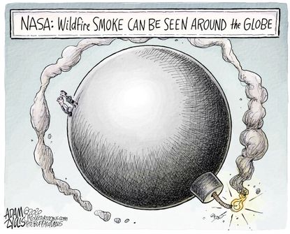 Editorial Cartoon World Wildfires climate change disaster bomb