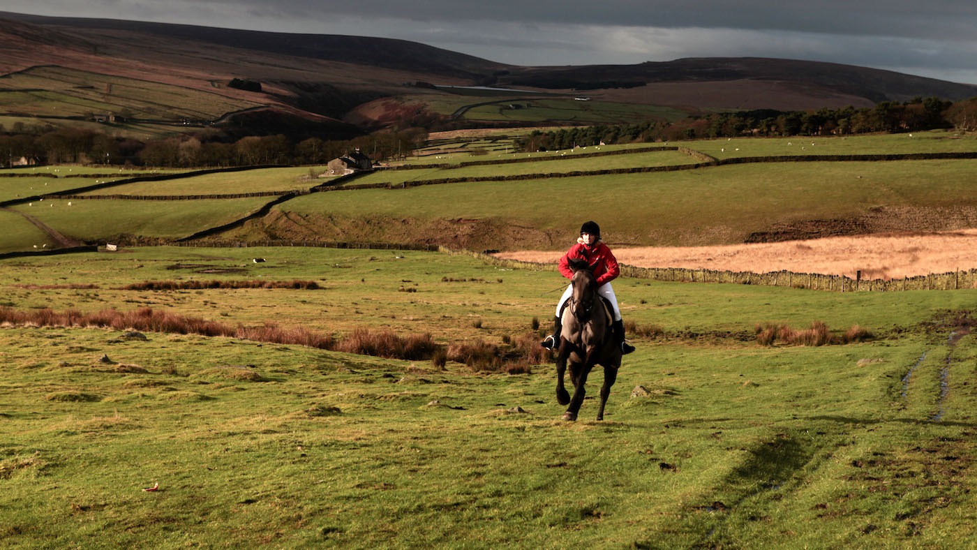 Horse and rider galloping in remote moorland, showing confidence to ride alone