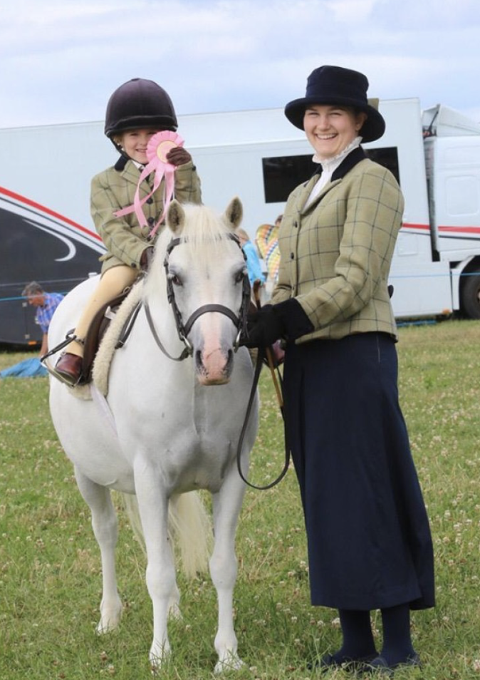 Welsh cobs and ponies for sale