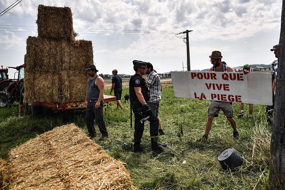 Gendarmes (L and R) hold back protesters with a flock of sheep, during a farmers' protest who attempted to block the stage's route with haystacks and sheep