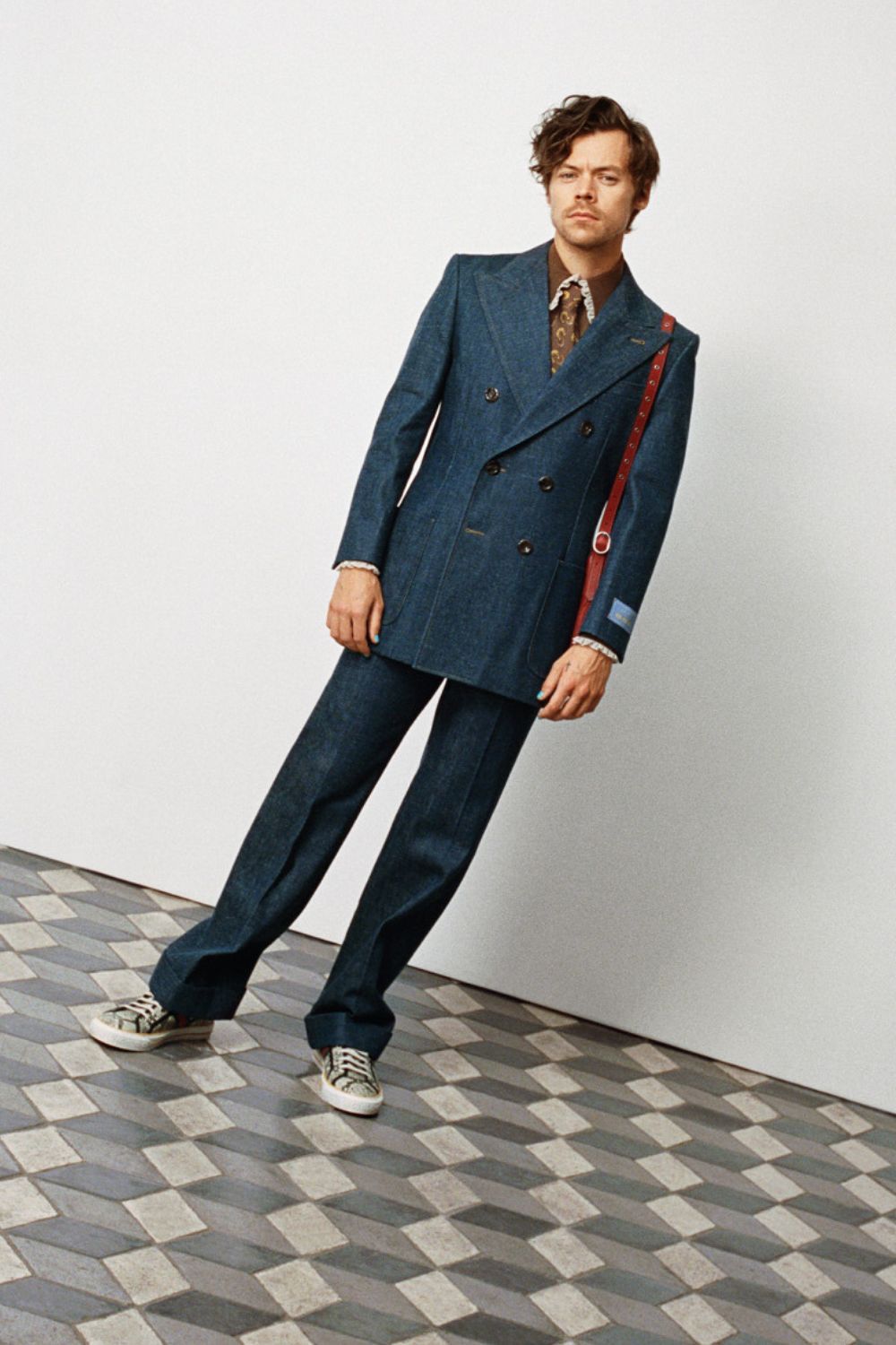 Harry Styles new Gucci collection