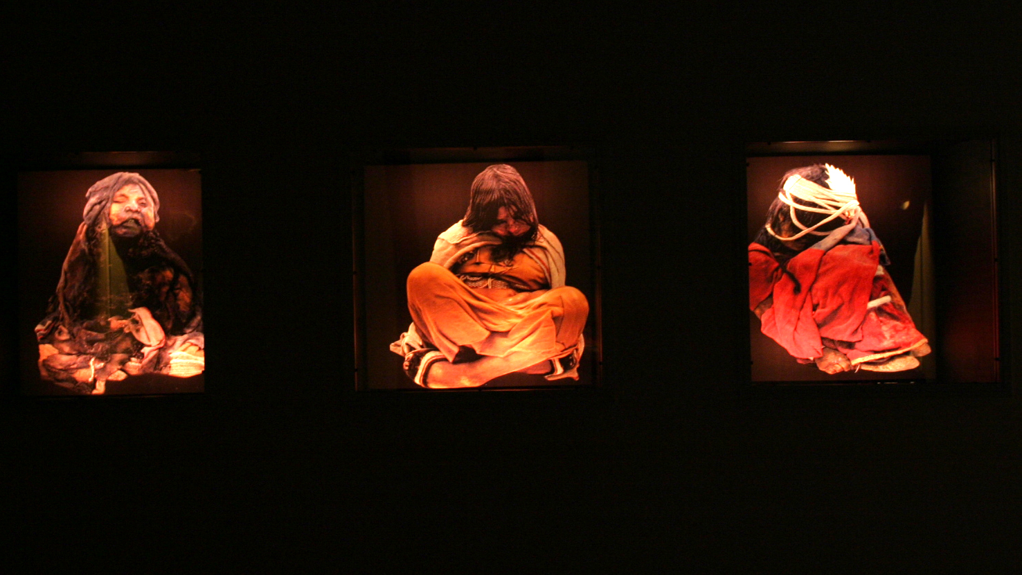 photographs of three Inca child mummies are displayed on a black wall