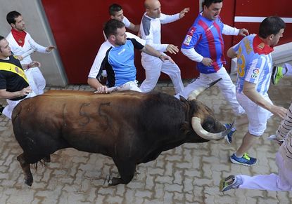 The running of the bulls in Pamplona, Spain.