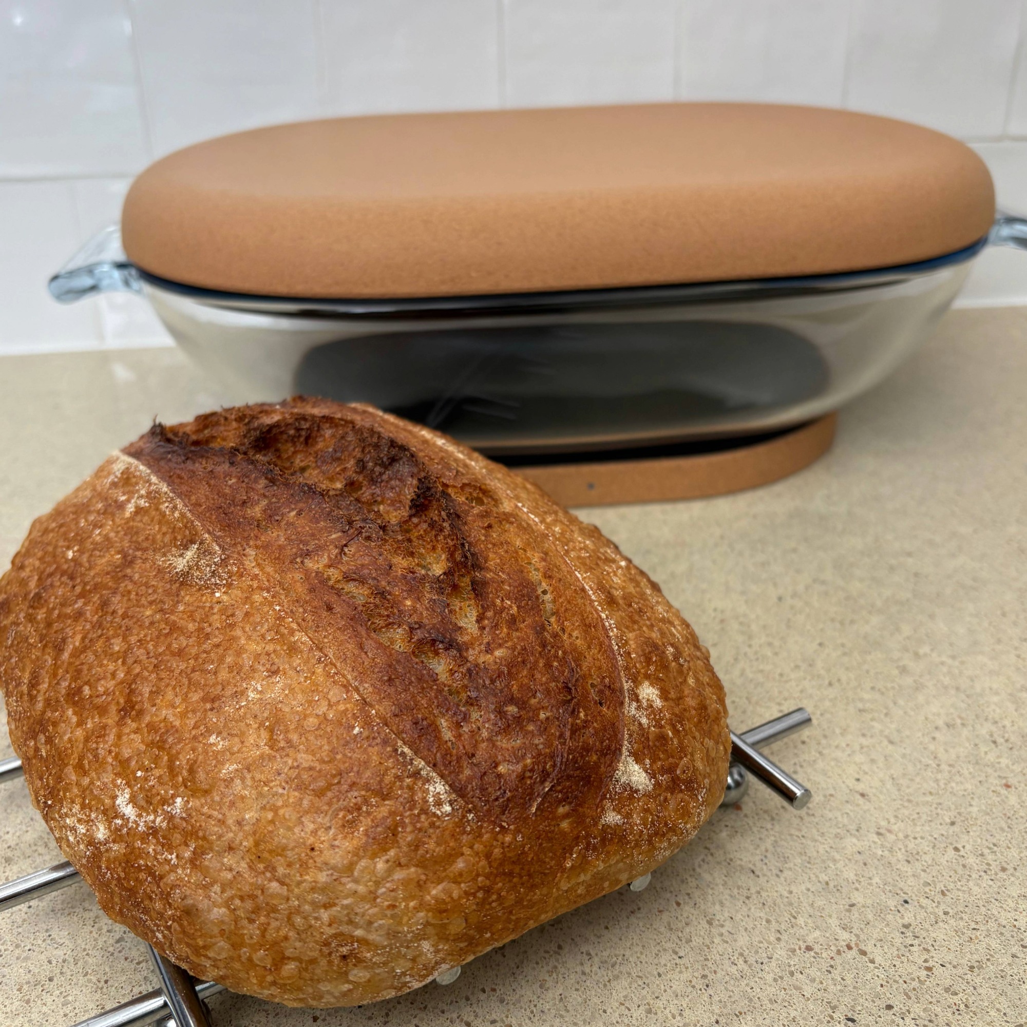 Testing the SourHouse DoughBed Sourdough Keeper