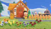 Animal Crossing: New Horizons house move