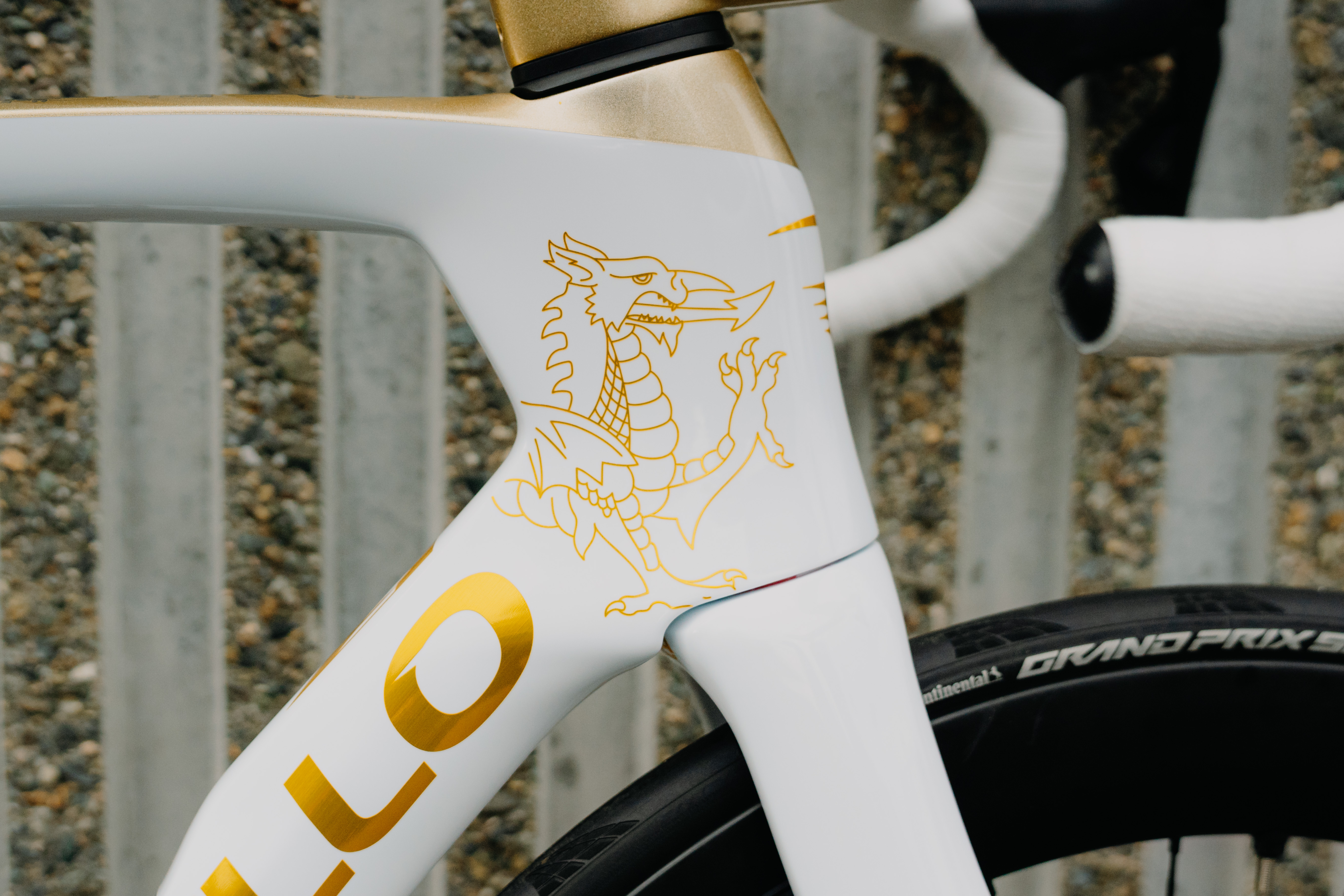 headtube area on race bike showing welsh dragon custom paint