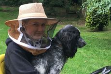 Lucy-and-Mycroft-waiting-for-the-bees-arrival-1.jpg